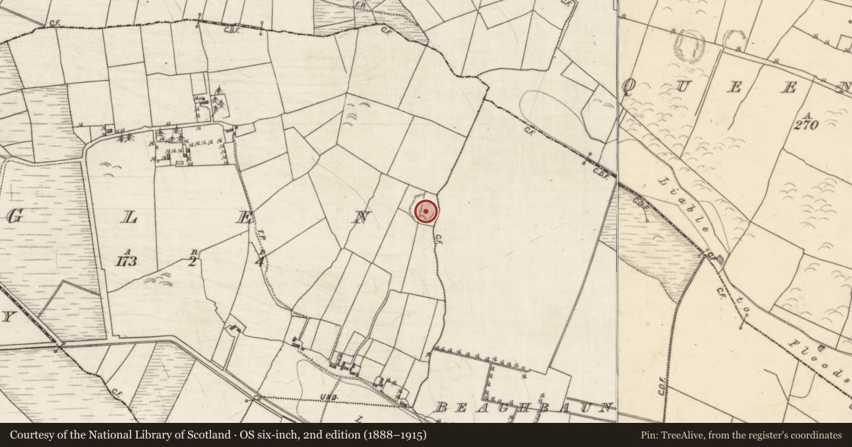 Ordnance Survey six-inch map, 2nd edition (1888–1915) covering the location of Ringfort - rath, Glen, County Galway, with a pin at the register's coordinates