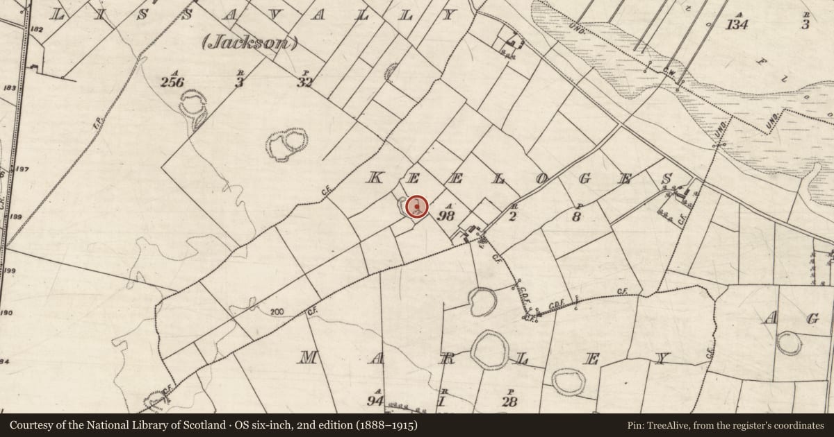 Ordnance Survey six-inch map, 2nd edition (1888–1915) covering the location of Ringfort - rath, Keeloges, County Galway, with a pin at the register's coordinates