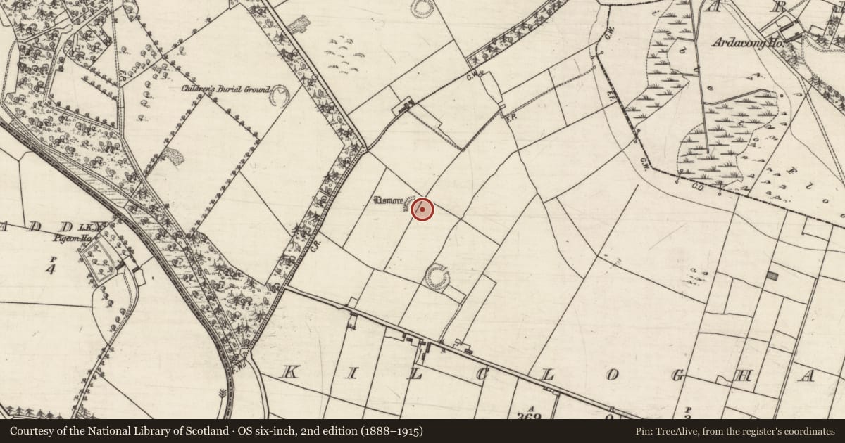 Ordnance Survey six-inch map, 2nd edition (1888–1915) covering the location of Ringfort - rath, Kilcloghans, County Galway, with a pin at the register's coordinates