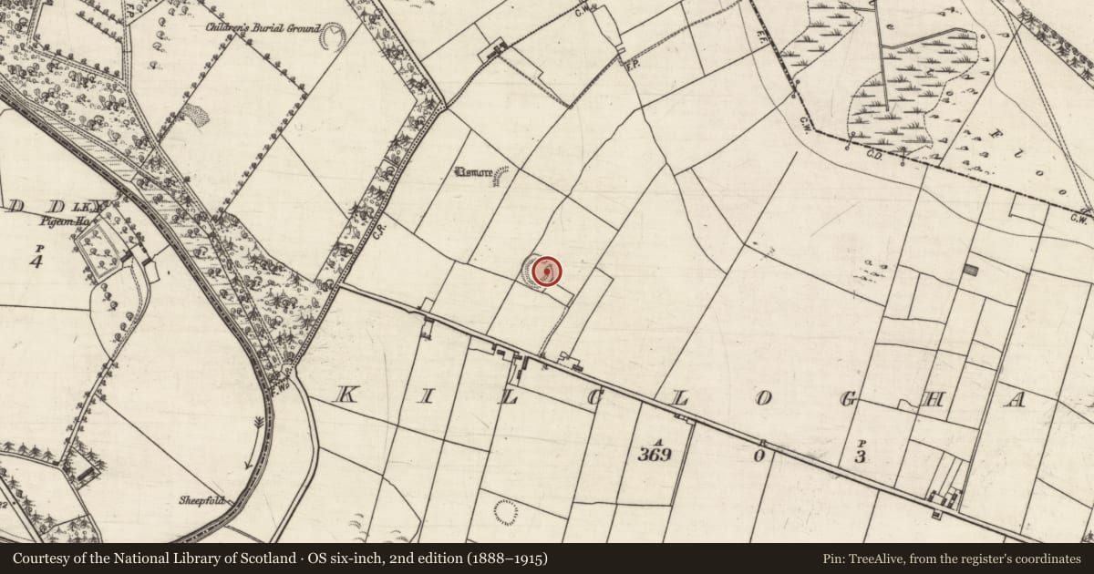 Ordnance Survey six-inch map, 2nd edition (1888–1915) covering the location of Ringfort - rath, Kilcloghans, County Galway, with a pin at the register's coordinates