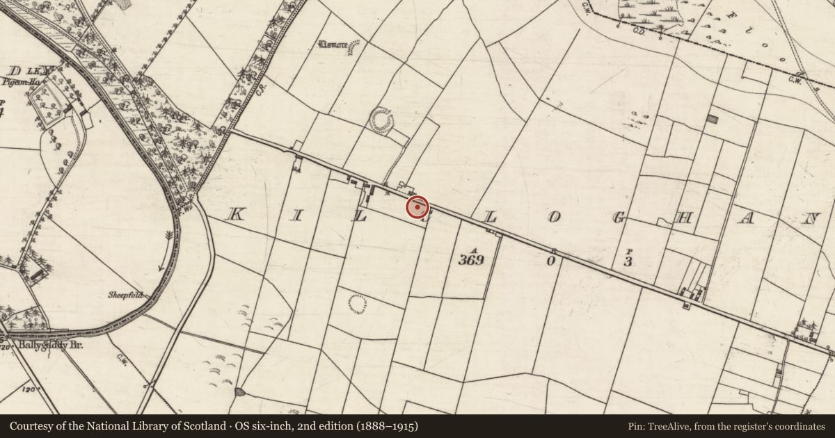 Ordnance Survey six-inch map, 2nd edition (1888–1915) covering the location of Ringfort - rath, Kilcloghans, County Galway, with a pin at the register's coordinates