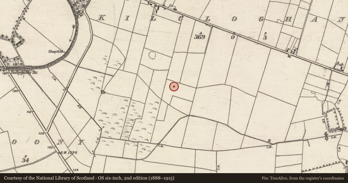 Ordnance Survey six-inch map, 2nd edition (1888–1915) covering the location of Fulacht fia, Kilcloghans, County Galway, with a pin at the register's coordinates