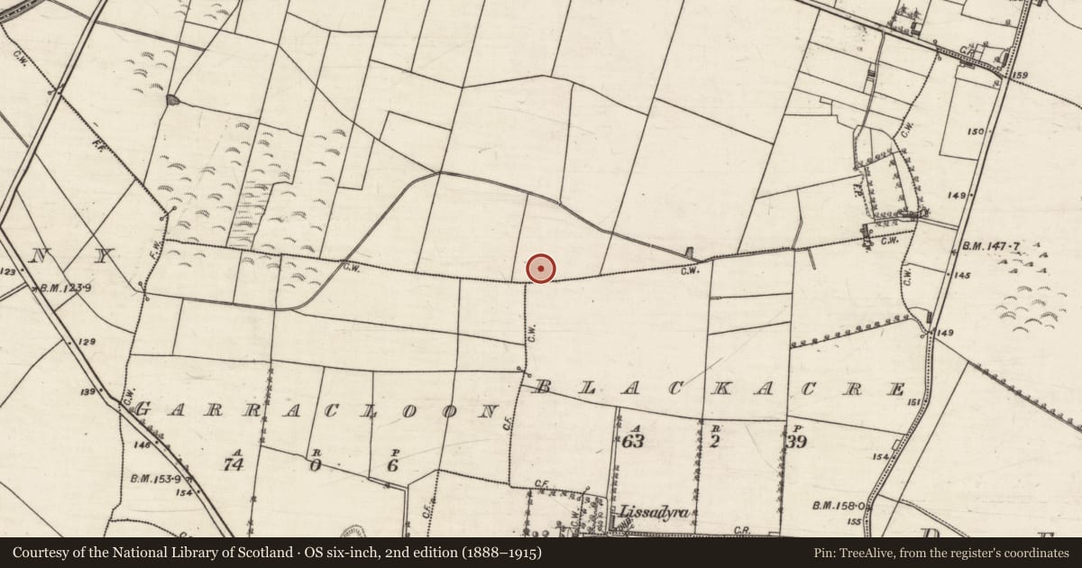 Ordnance Survey six-inch map, 2nd edition (1888–1915) covering the location of Kiln - lime, Kilcloghans, County Galway, with a pin at the register's coordinates