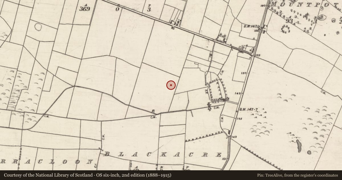 Ordnance Survey six-inch map, 2nd edition (1888–1915) covering the location of Ecclesiastical enclosure, Kilcloghans, County Galway, with a pin at the register's coordinates