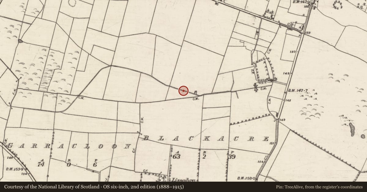 Ordnance Survey six-inch map, 2nd edition (1888–1915) covering the location of Bridge, Kilcloghans, County Galway, with a pin at the register's coordinates