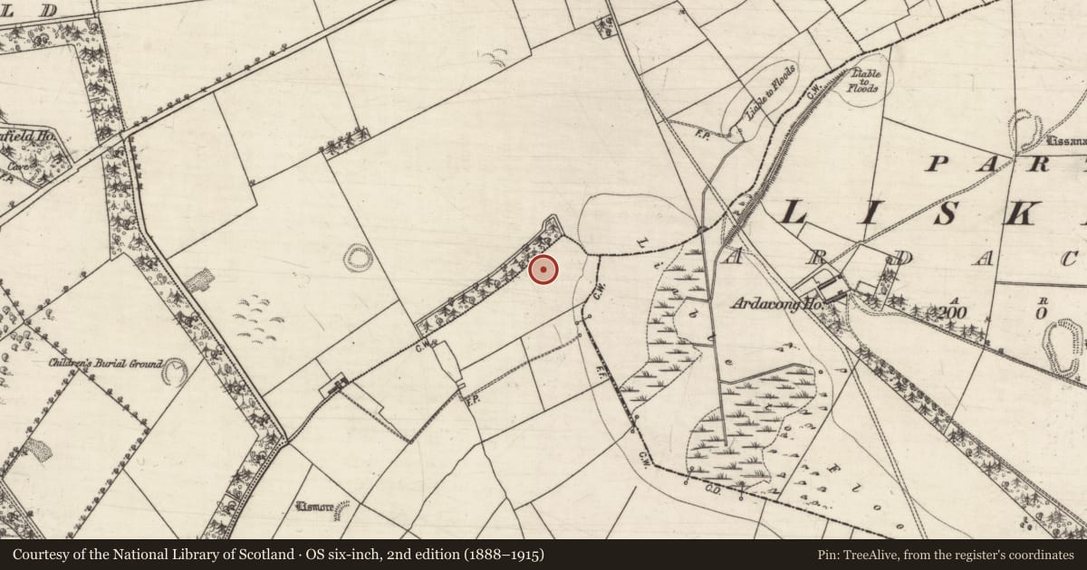Ordnance Survey six-inch map, 2nd edition (1888–1915) covering the location of Ringfort - rath, Kilcloghans, County Galway, with a pin at the register's coordinates
