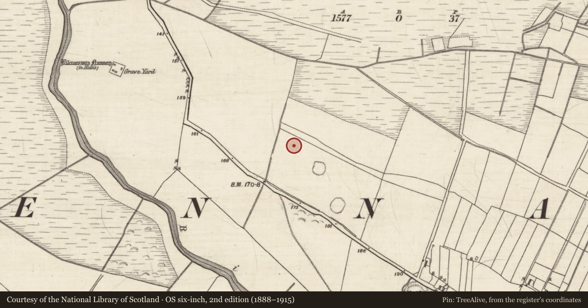 Ordnance Survey six-inch map, 2nd edition (1888–1915) covering the location of Ringfort - rath, Kilcreevanty, County Galway, with a pin at the register's coordinates