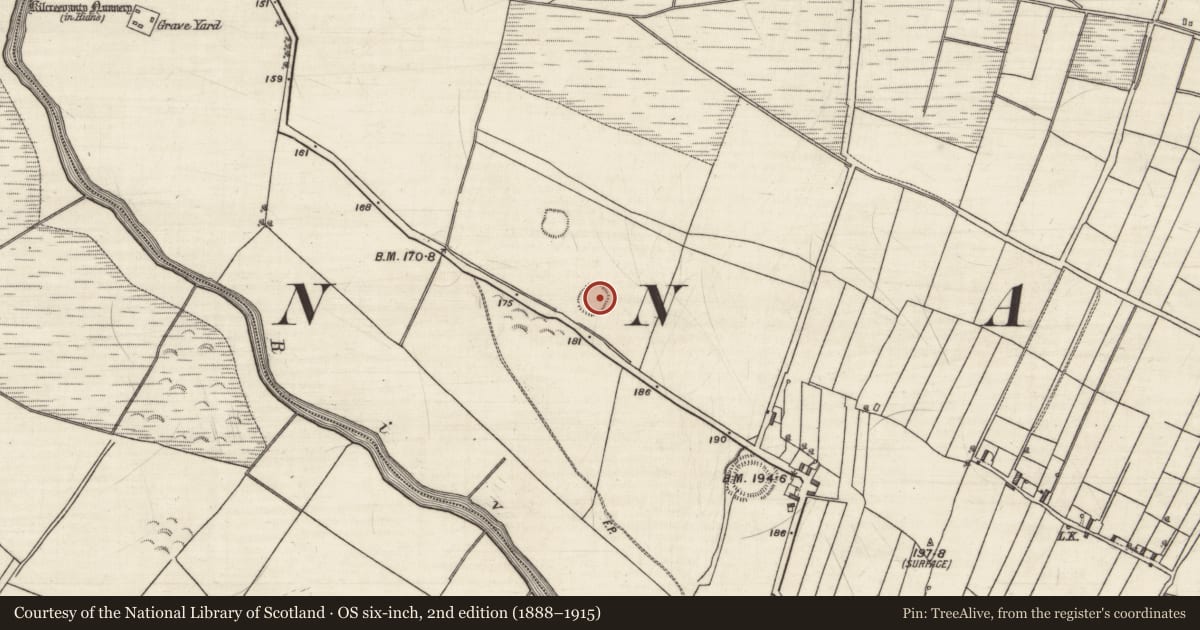 Ordnance Survey six-inch map, 2nd edition (1888–1915) covering the location of Ringfort - rath, Kilcreevanty, County Galway, with a pin at the register's coordinates