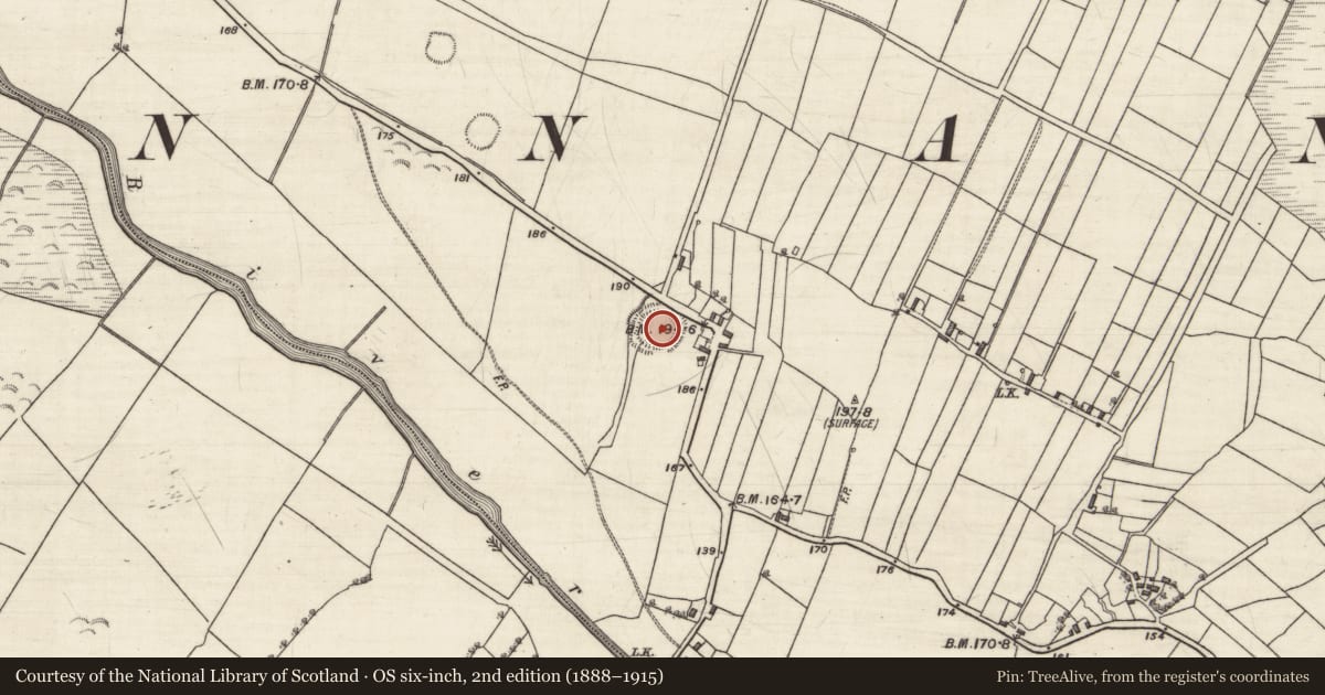 Ordnance Survey six-inch map, 2nd edition (1888–1915) covering the location of Ringfort - rath, Kilcreevanty, County Galway, with a pin at the register's coordinates