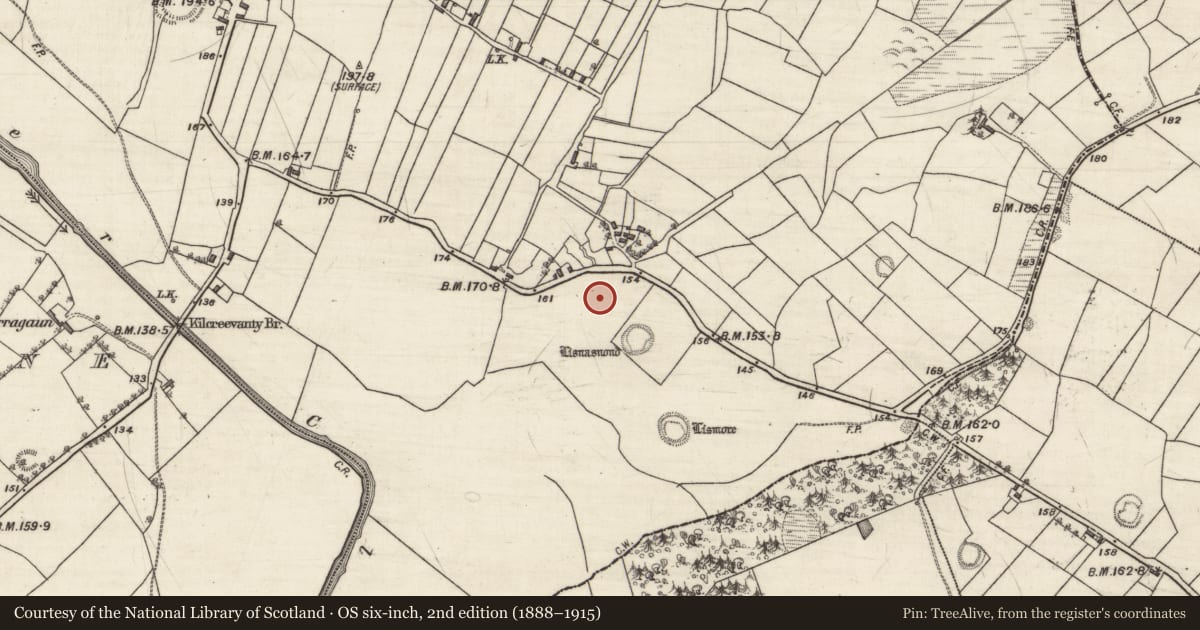 Ordnance Survey six-inch map, 2nd edition (1888–1915) covering the location of Ringfort - rath, Kilcreevanty, County Galway, with a pin at the register's coordinates