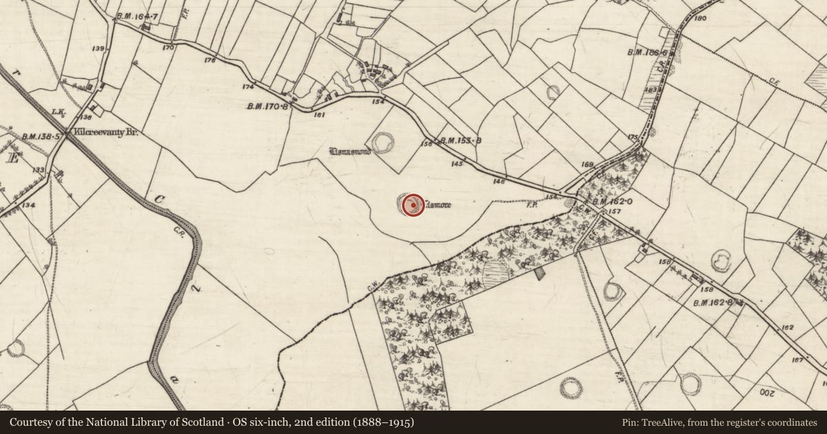 Ordnance Survey six-inch map, 2nd edition (1888–1915) covering the location of Ringfort - rath, Kilcreevanty, County Galway, with a pin at the register's coordinates