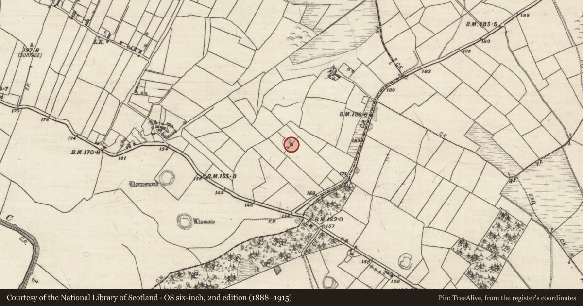 Ordnance Survey six-inch map, 2nd edition (1888–1915) covering the location of Ringfort - cashel, Kilcreevanty, County Galway, with a pin at the register's coordinates