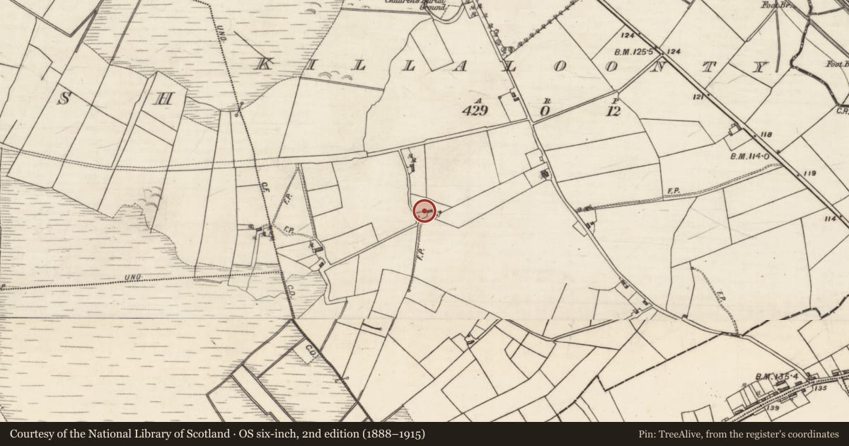 Ordnance Survey six-inch map, 2nd edition (1888–1915) covering the location of Kiln - lime, Killaloonty, County Galway, with a pin at the register's coordinates