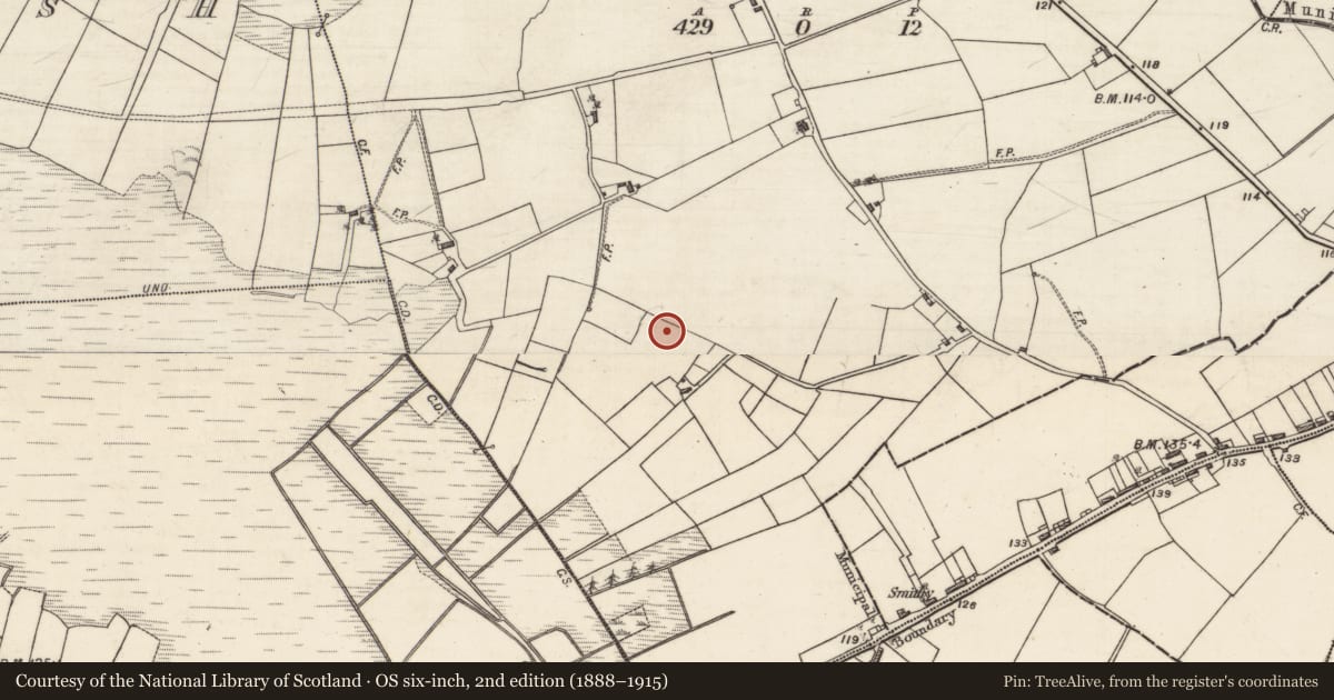 Ordnance Survey six-inch map, 2nd edition (1888–1915) covering the location of Kiln - lime, Killaloonty, County Galway, with a pin at the register's coordinates