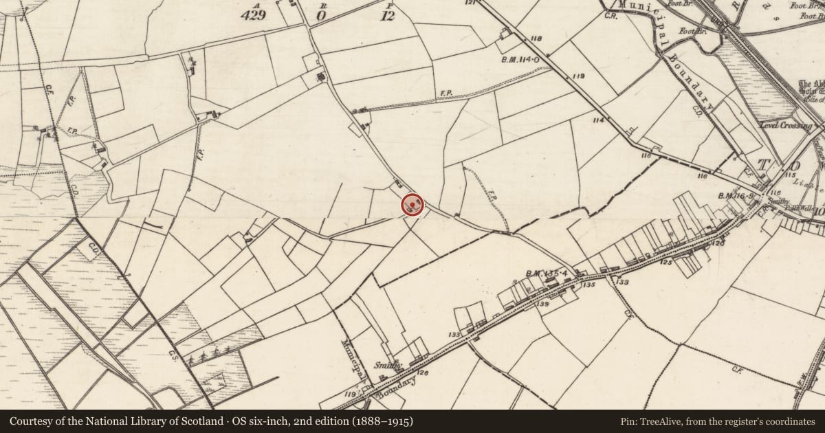 Ordnance Survey six-inch map, 2nd edition (1888–1915) covering the location of Kiln - pottery, Killaloonty, County Galway, with a pin at the register's coordinates