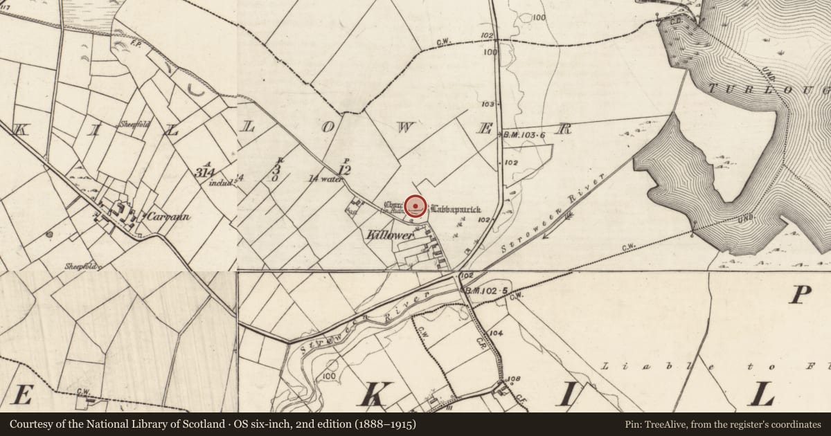 Ordnance Survey six-inch map, 2nd edition (1888–1915) covering the location of Graveyard, Killower, County Galway, with a pin at the register's coordinates