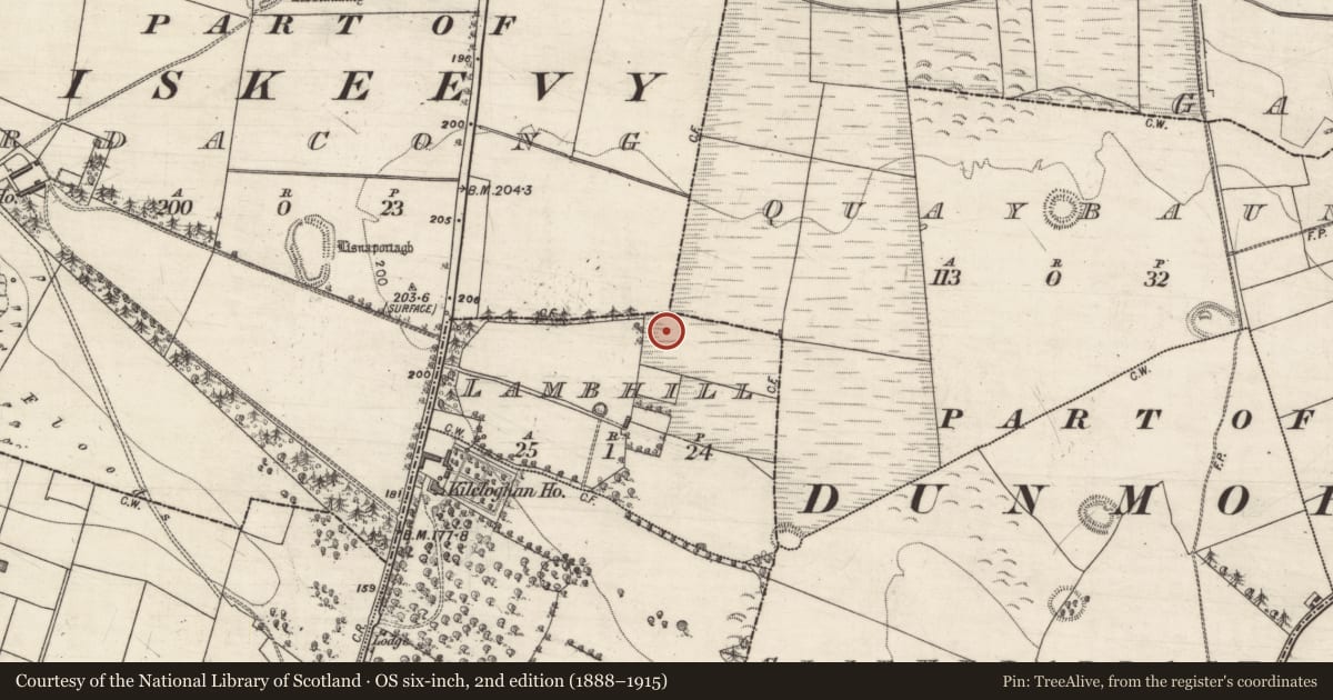 Ordnance Survey six-inch map, 2nd edition (1888–1915) covering the location of Fulacht fia, Lambhill, County Galway, with a pin at the register's coordinates