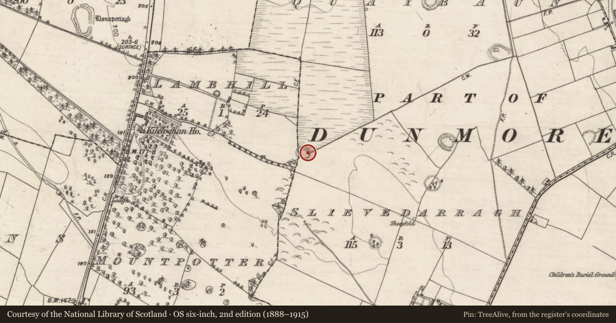 Ordnance Survey six-inch map, 2nd edition (1888–1915) covering the location of Ringfort - rath, County Galway, with a pin at the register's coordinates