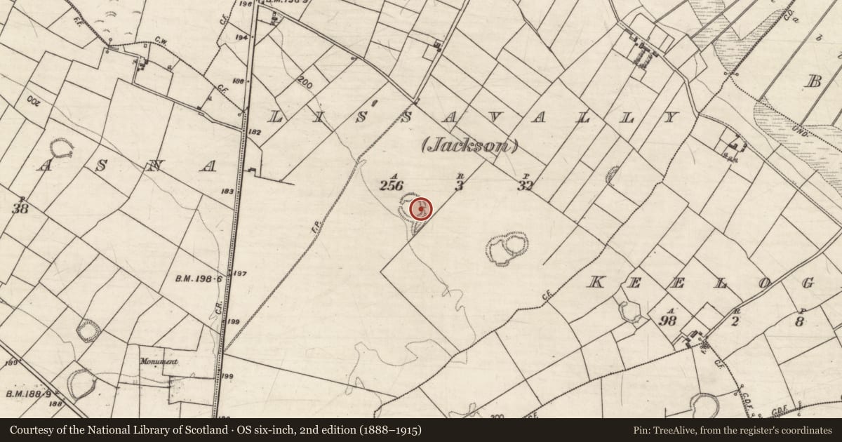 Ordnance Survey six-inch map, 2nd edition (1888–1915) covering the location of Ringfort - rath, Lissavally (Jackson), County Galway, with a pin at the register's coordinates