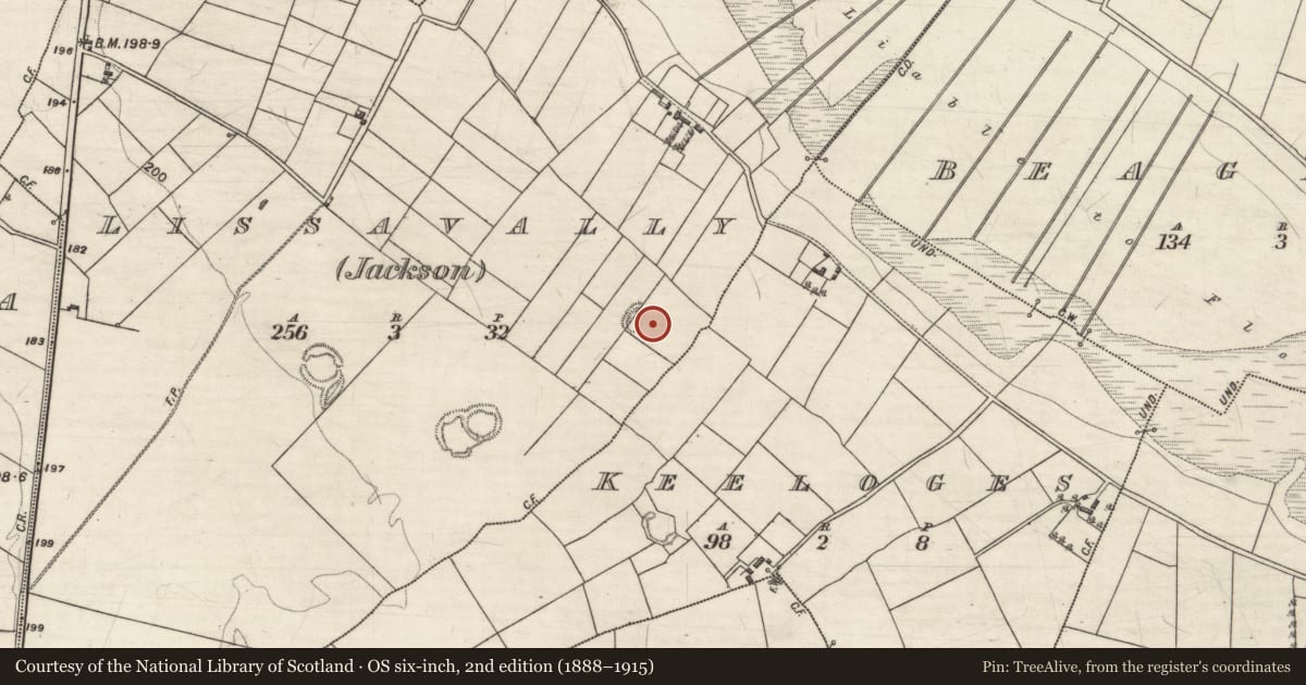 Ordnance Survey six-inch map, 2nd edition (1888–1915) covering the location of Ringfort - rath, Lissavally (Jackson), County Galway, with a pin at the register's coordinates