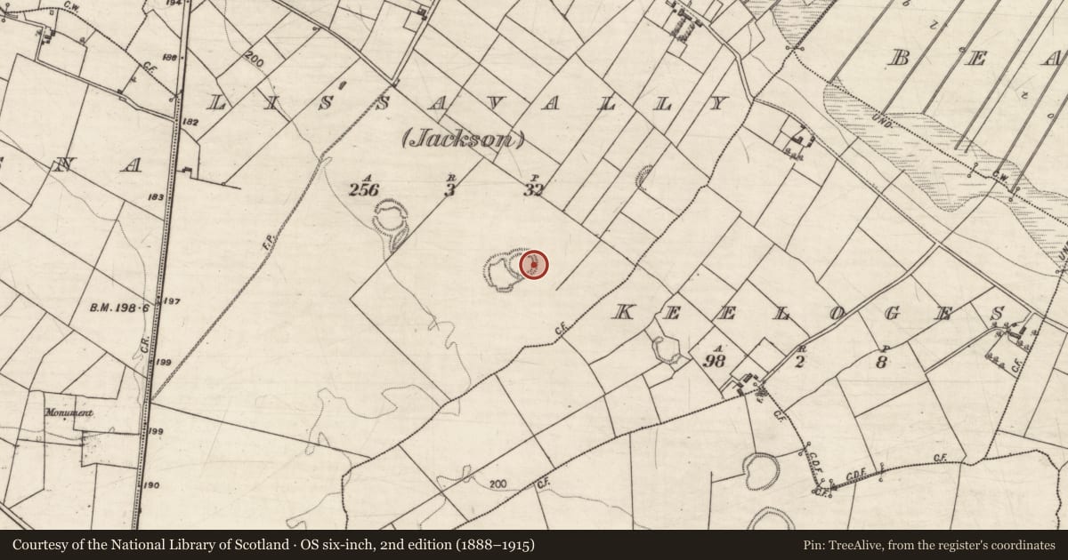 Ordnance Survey six-inch map, 2nd edition (1888–1915) covering the location of Ringfort - rath, Lissavally (Jackson), County Galway, with a pin at the register's coordinates