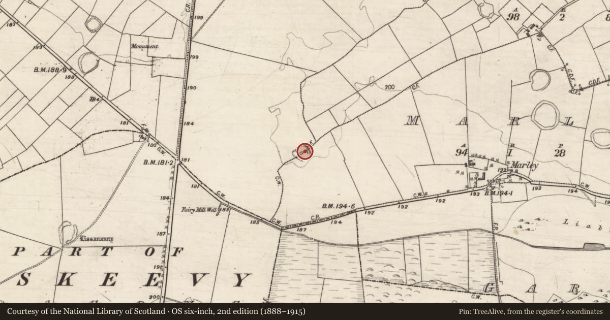 Ordnance Survey six-inch map, 2nd edition (1888–1915) covering the location of Ringfort - rath, Lissavally (Jackson), Marley, County Galway, with a pin at the register's coordinates