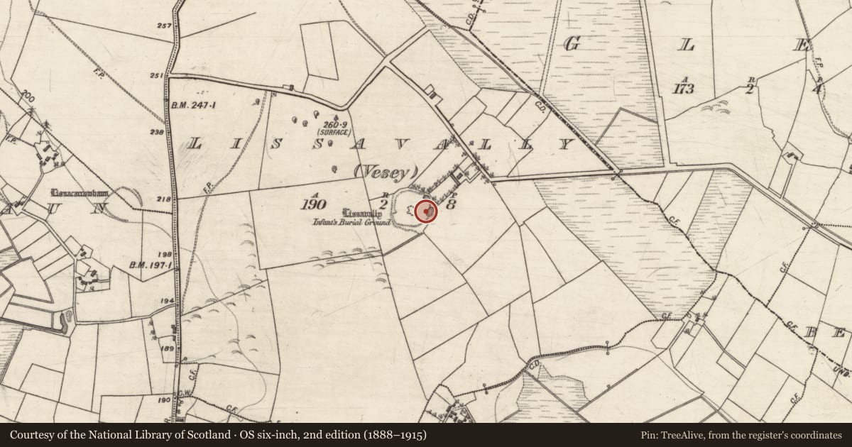 Ordnance Survey six-inch map, 2nd edition (1888–1915) covering the location of Children's burial ground, Lissavally (Vesey), County Galway, with a pin at the register's coordinates