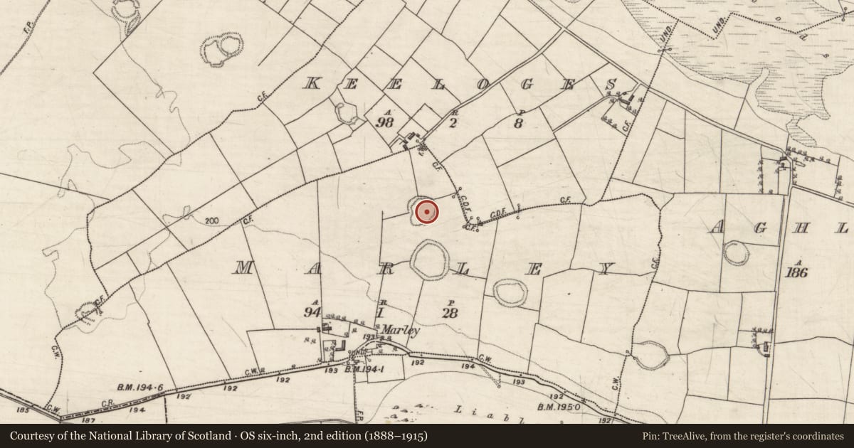 Ordnance Survey six-inch map, 2nd edition (1888–1915) covering the location of Ringfort - rath, Marley, County Galway, with a pin at the register's coordinates