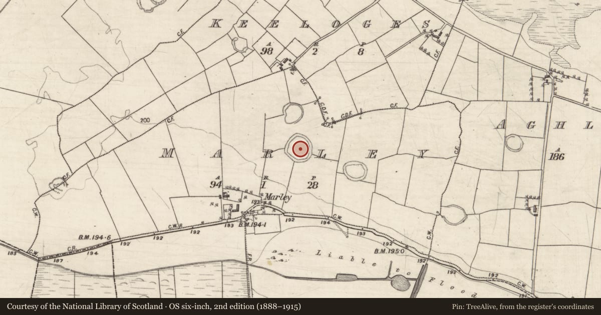 Ordnance Survey six-inch map, 2nd edition (1888–1915) covering the location of Ringfort - rath, Marley, County Galway, with a pin at the register's coordinates