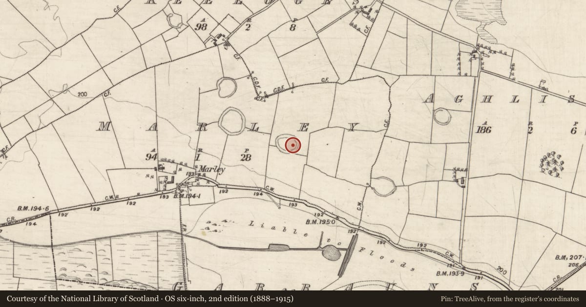 Ordnance Survey six-inch map, 2nd edition (1888–1915) covering the location of Ringfort - rath, Marley, County Galway, with a pin at the register's coordinates