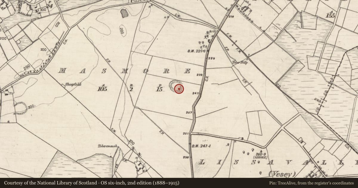 Ordnance Survey six-inch map, 2nd edition (1888–1915) covering the location of Ringfort - rath, Masmore, County Galway, with a pin at the register's coordinates