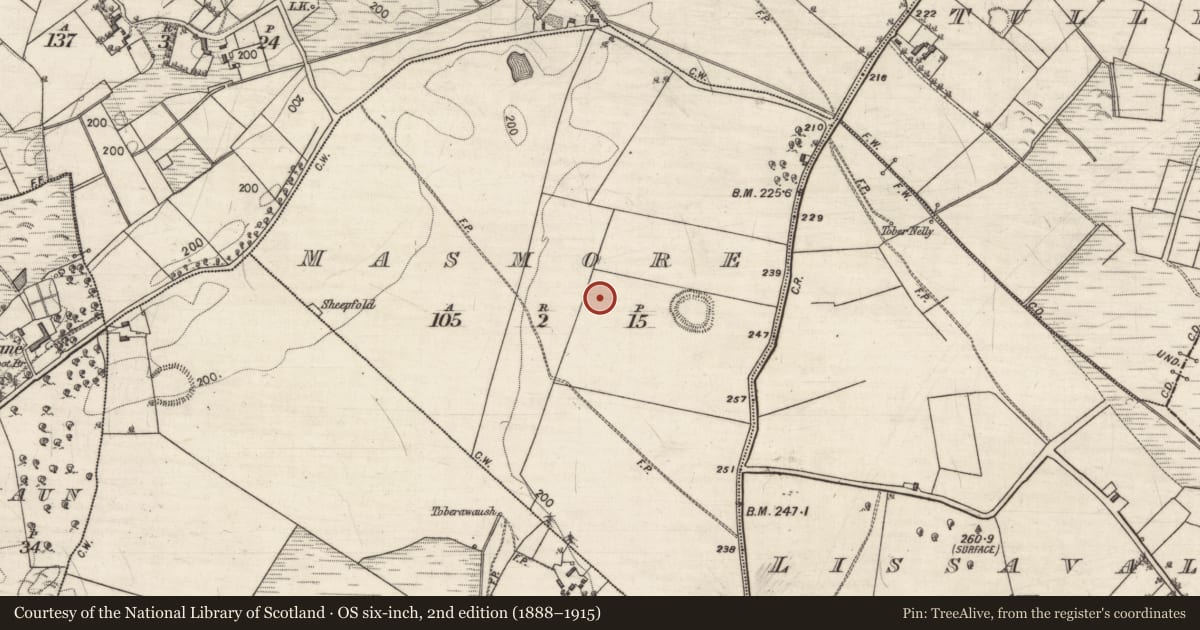 Ordnance Survey six-inch map, 2nd edition (1888–1915) covering the location of Ringfort - rath, Masmore, County Galway, with a pin at the register's coordinates