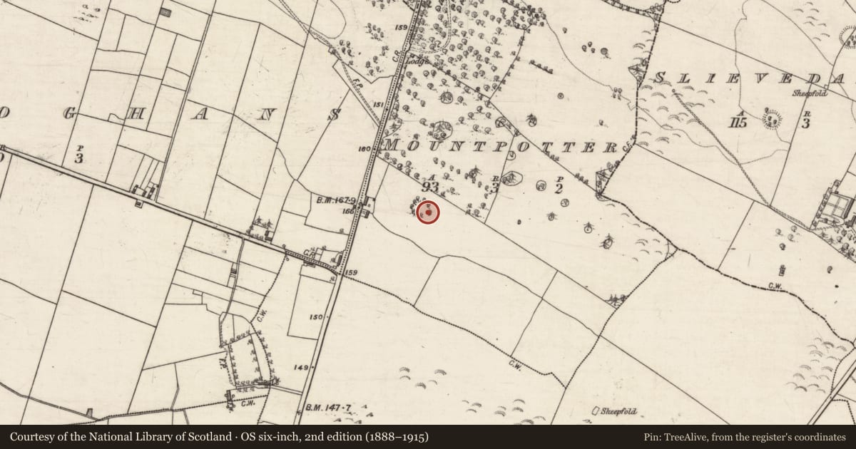 Ordnance Survey six-inch map, 2nd edition (1888–1915) covering the location of Ringfort - rath, Mountpotter, County Galway, with a pin at the register's coordinates