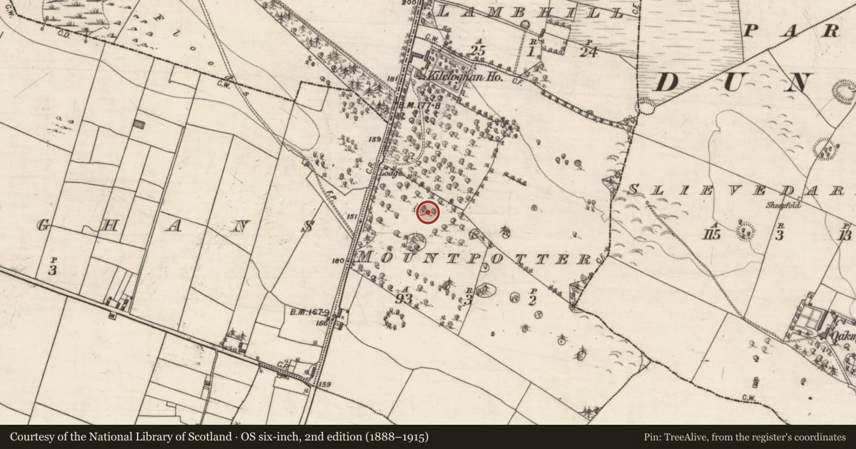 Ordnance Survey six-inch map, 2nd edition (1888–1915) covering the location of Designed landscape - tree-ring, Mountpotter, County Galway, with a pin at the register's coordinates