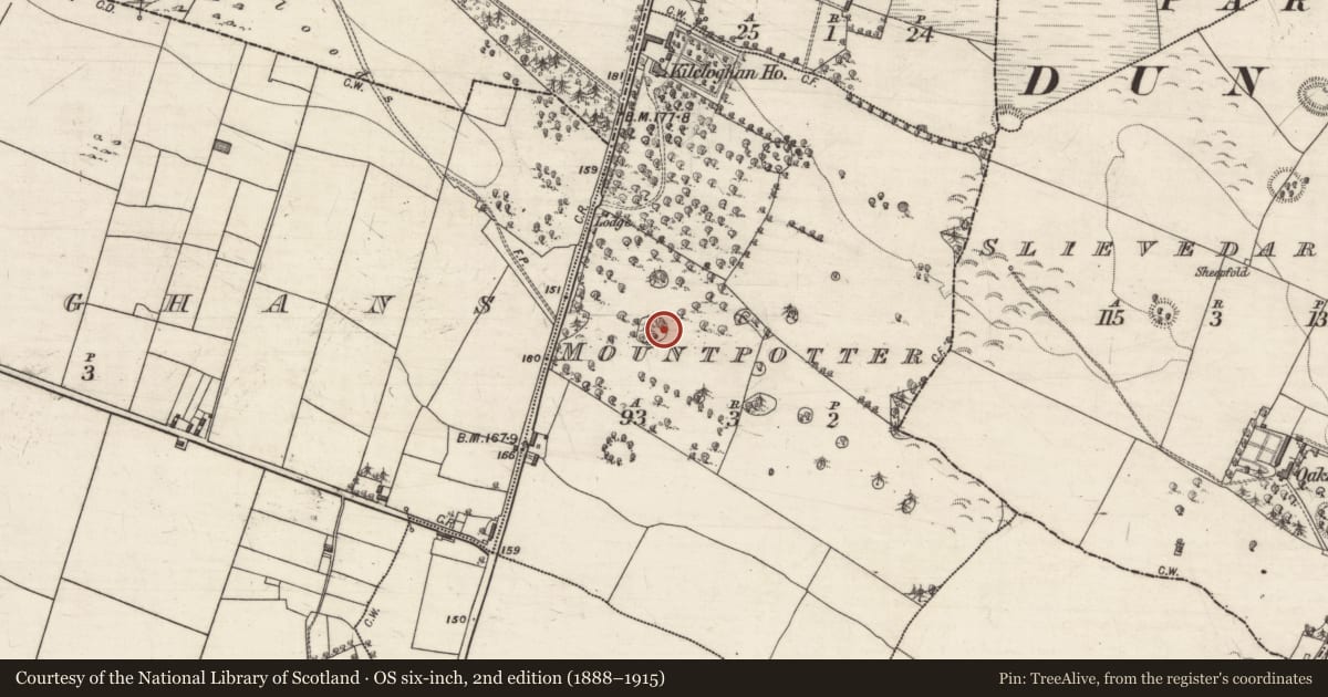 Ordnance Survey six-inch map, 2nd edition (1888–1915) covering the location of Designed landscape - tree-ring, Mountpotter, County Galway, with a pin at the register's coordinates