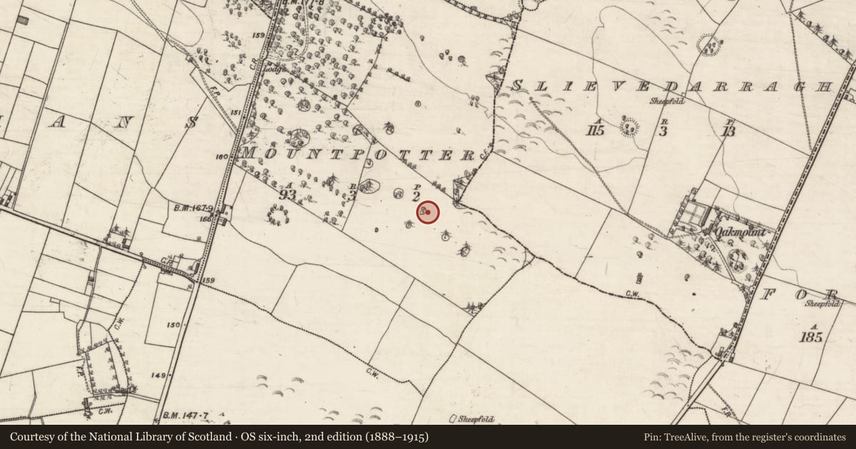 Ordnance Survey six-inch map, 2nd edition (1888–1915) covering the location of Designed landscape - tree-ring, Mountpotter, County Galway, with a pin at the register's coordinates