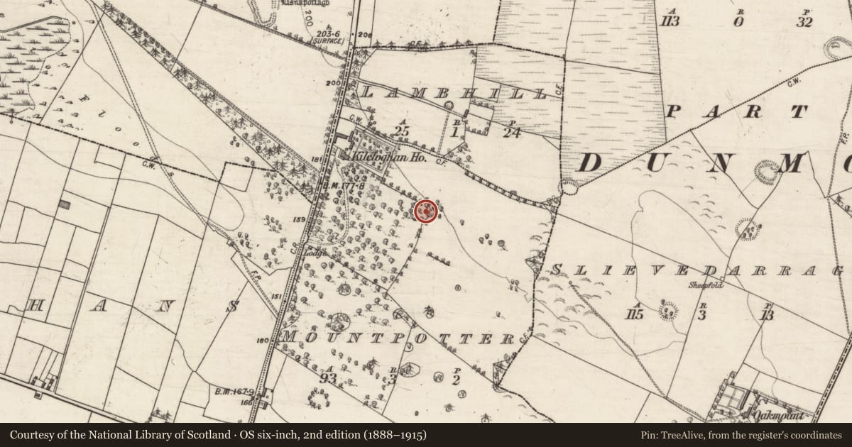 Ordnance Survey six-inch map, 2nd edition (1888–1915) covering the location of Ringfort - rath, Mountpotter, County Galway, with a pin at the register's coordinates