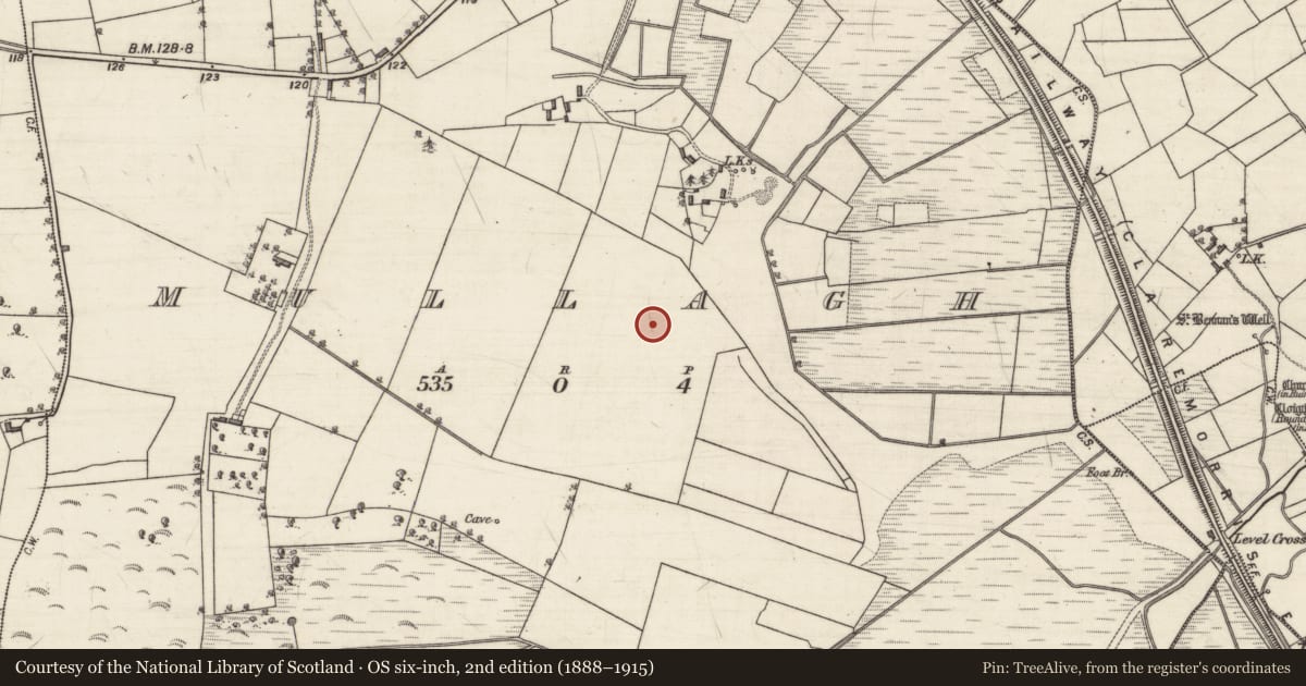 Ordnance Survey six-inch map, 2nd edition (1888–1915) covering the location of Quarry, Mullagh, County Galway, with a pin at the register's coordinates