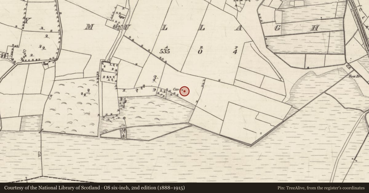 Ordnance Survey six-inch map, 2nd edition (1888–1915) covering the location of Souterrain, Mullagh, County Galway, with a pin at the register's coordinates