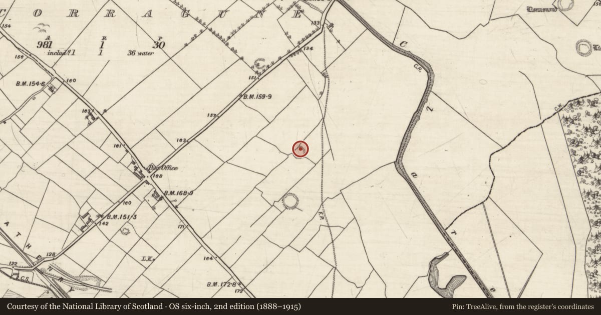 Ordnance Survey six-inch map, 2nd edition (1888–1915) covering the location of Ringfort - rath, Pollacorragune, County Galway, with a pin at the register's coordinates
