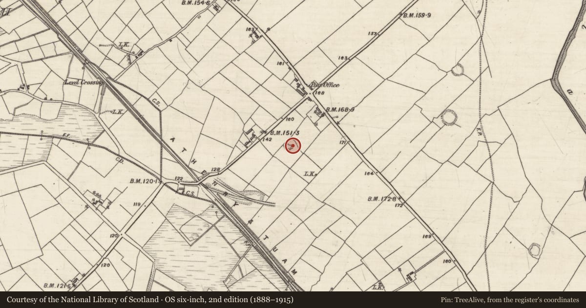 Ordnance Survey six-inch map, 2nd edition (1888–1915) covering the location of Children's burial ground, Pollacorragune, County Galway, with a pin at the register's coordinates