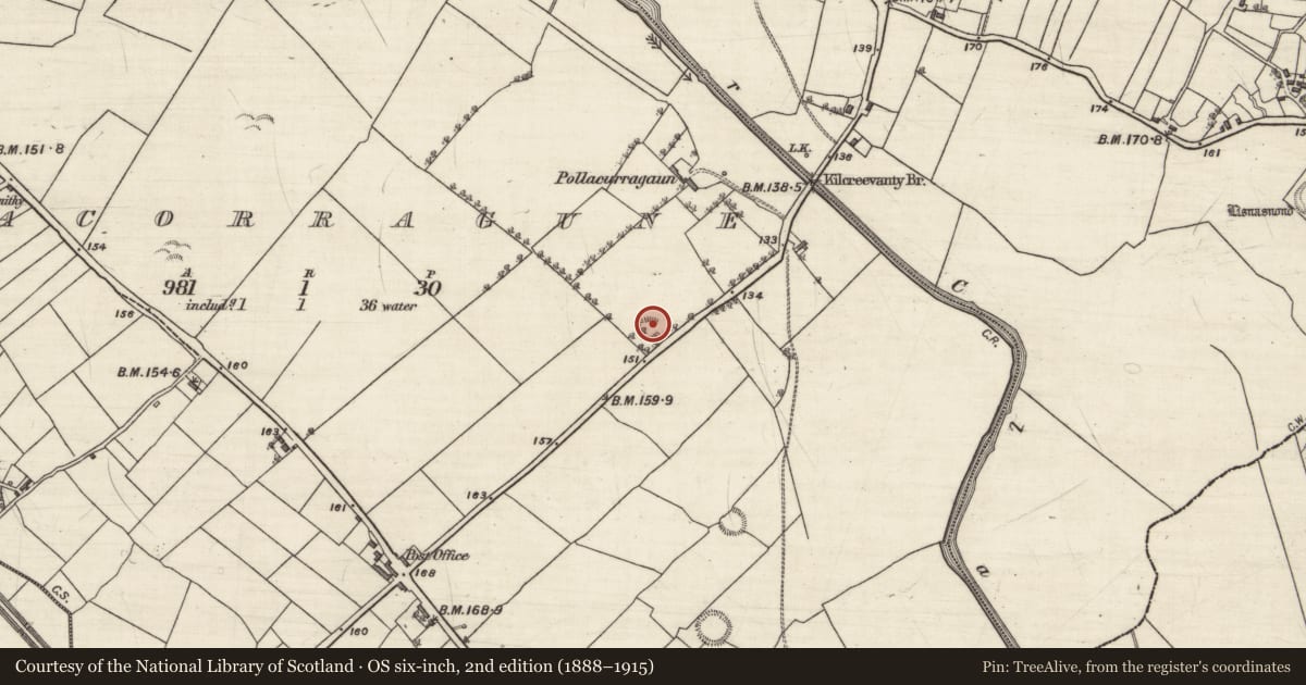 Ordnance Survey six-inch map, 2nd edition (1888–1915) covering the location of Ringfort - rath, Pollacorragune, County Galway, with a pin at the register's coordinates
