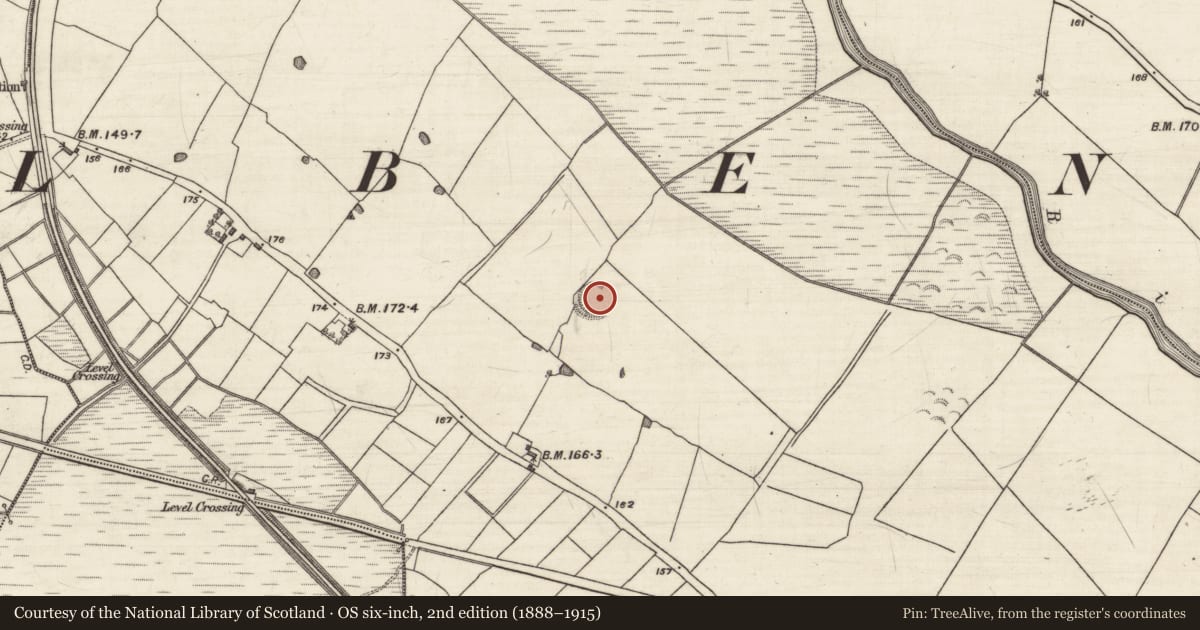 Ordnance Survey six-inch map, 2nd edition (1888–1915) covering the location of Ringfort - rath, Pollacorragune, County Galway, with a pin at the register's coordinates