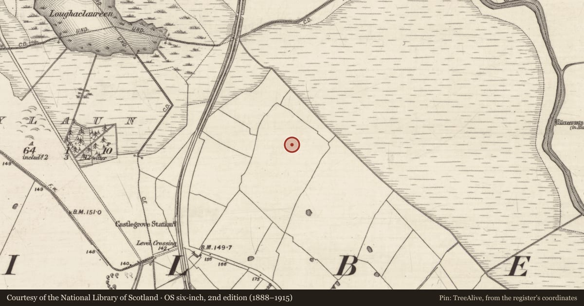 Ordnance Survey six-inch map, 2nd edition (1888–1915) covering the location of Children's burial ground, Pollacorragune, County Galway, with a pin at the register's coordinates
