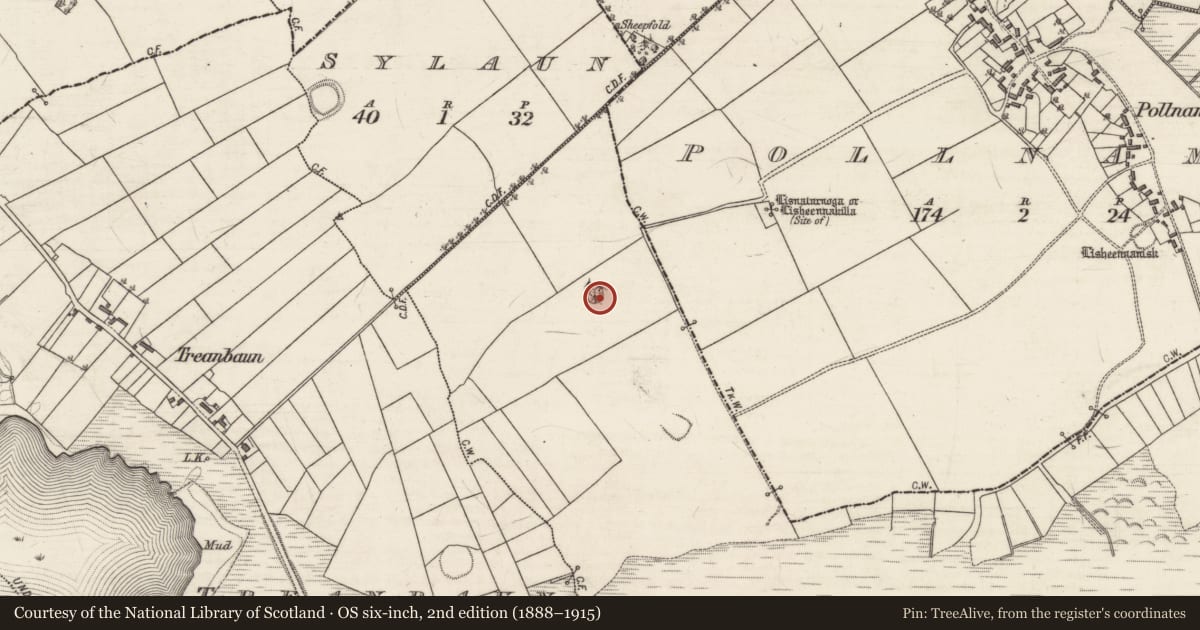 Ordnance Survey six-inch map, 2nd edition (1888–1915) covering the location of Ringfort - rath, Pollnamal, County Galway, with a pin at the register's coordinates