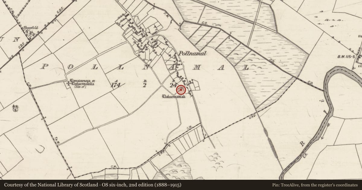 Ordnance Survey six-inch map, 2nd edition (1888–1915) covering the location of Kiln - lime, Pollnamal, County Galway, with a pin at the register's coordinates
