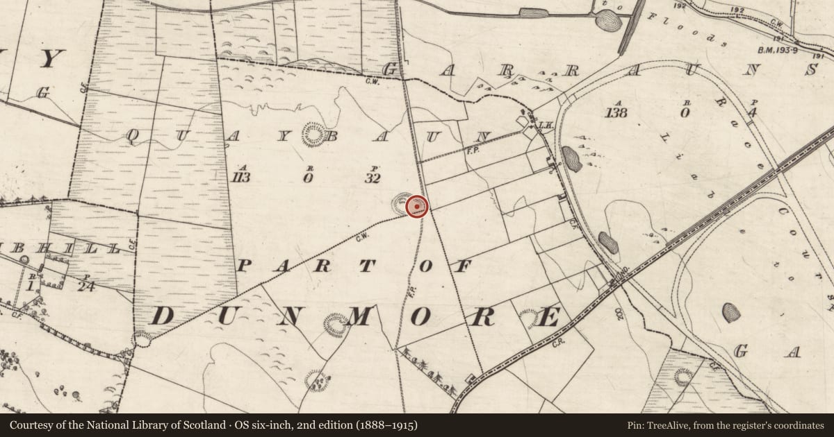 Ordnance Survey six-inch map, 2nd edition (1888–1915) covering the location of Ringfort - rath, Quaybaun, Slievedarragh, County Galway, with a pin at the register's coordinates