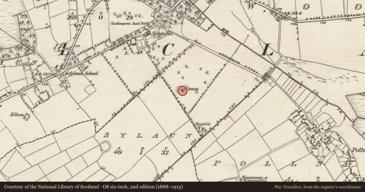 Ordnance Survey six-inch map, 2nd edition (1888–1915) covering the location of Ringfort - rath, An Saighleán, County Galway, with a pin at the register's coordinates
