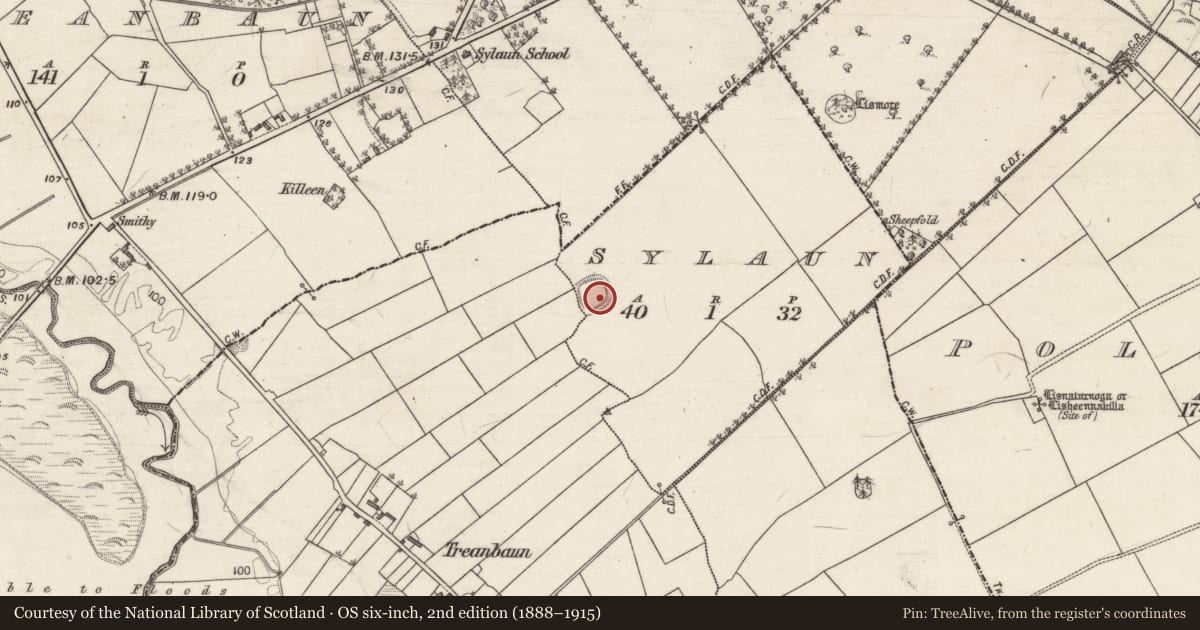 Ordnance Survey six-inch map, 2nd edition (1888–1915) covering the location of Ringfort - rath, An Saighleán, Treanbaun, County Galway, with a pin at the register's coordinates