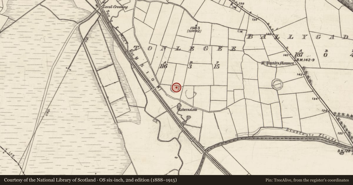 Ordnance Survey six-inch map, 2nd edition (1888–1915) covering the location of Ringfort - rath, Tonlegee, County Galway, with a pin at the register's coordinates